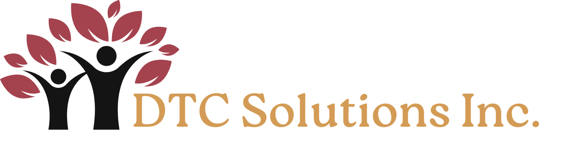 Disability Tax Credit Solutions Canada